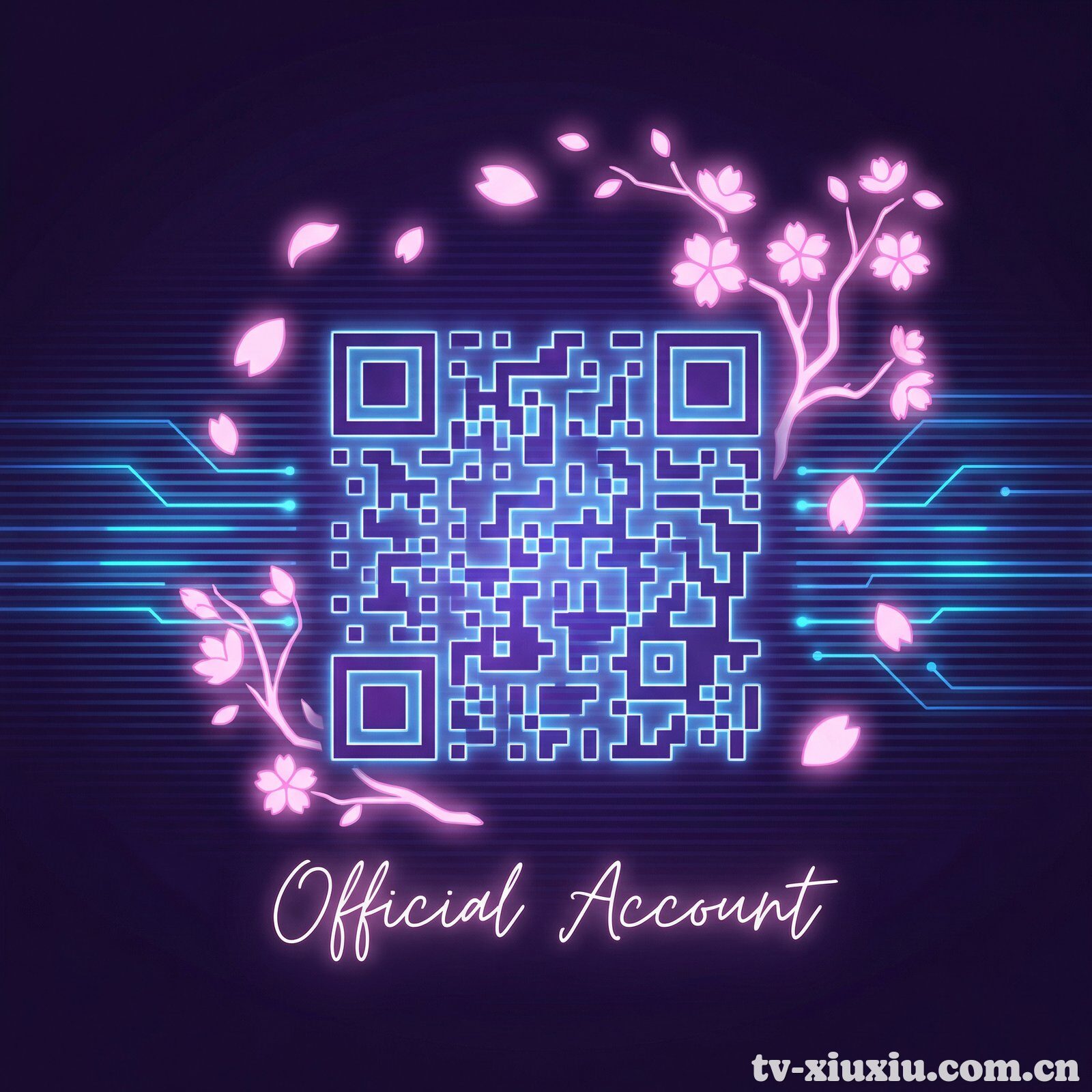 羞羞视频公众号二维码